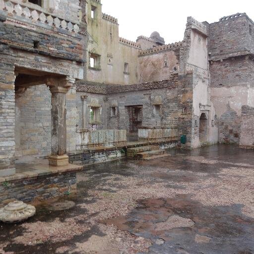 chirpntwit's profile picture. 