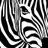 baskafotograf's profile image