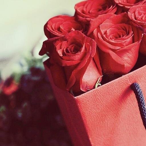 سبحان الله العظيم ، سبحان الله وبحمده .♡