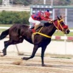 marcasdetamayo's profile picture. TENEMOS LAS MEJORES MARCAS DE VENEZUELA PARA TODOS LOS HIPODROMOS Y TU PARLEY DEL DIA