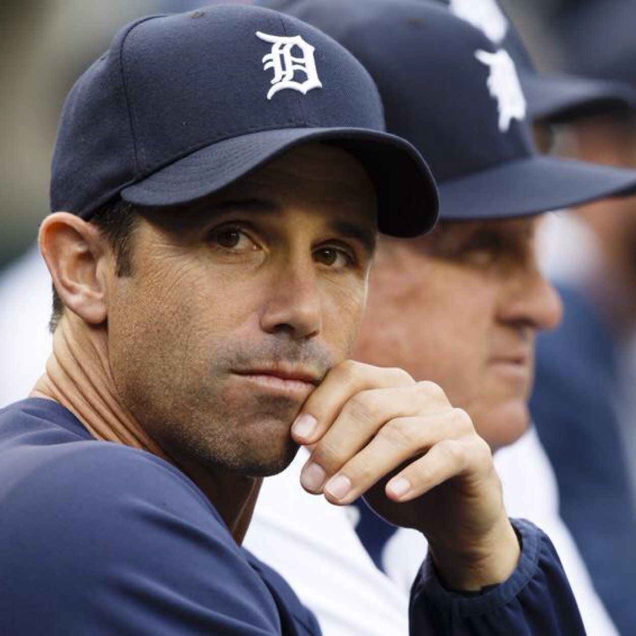 fakebradausmus's profile picture. Go Tigers