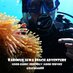 trip to karimunjawa (@karimunku) Twitter profile photo