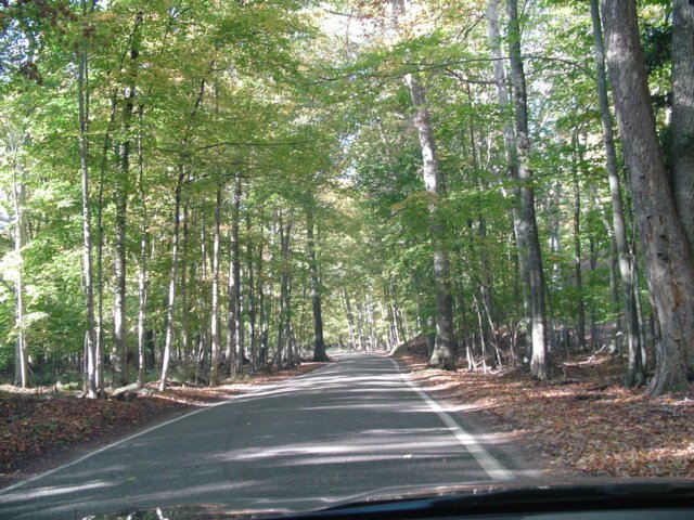 dscript93190775's profile picture.