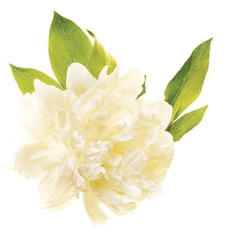 Emma_Bilin's profile picture. Design, installation, service of Ultramodern   
system for longevity, health and beauty, and best results. Toilet air is harmful!