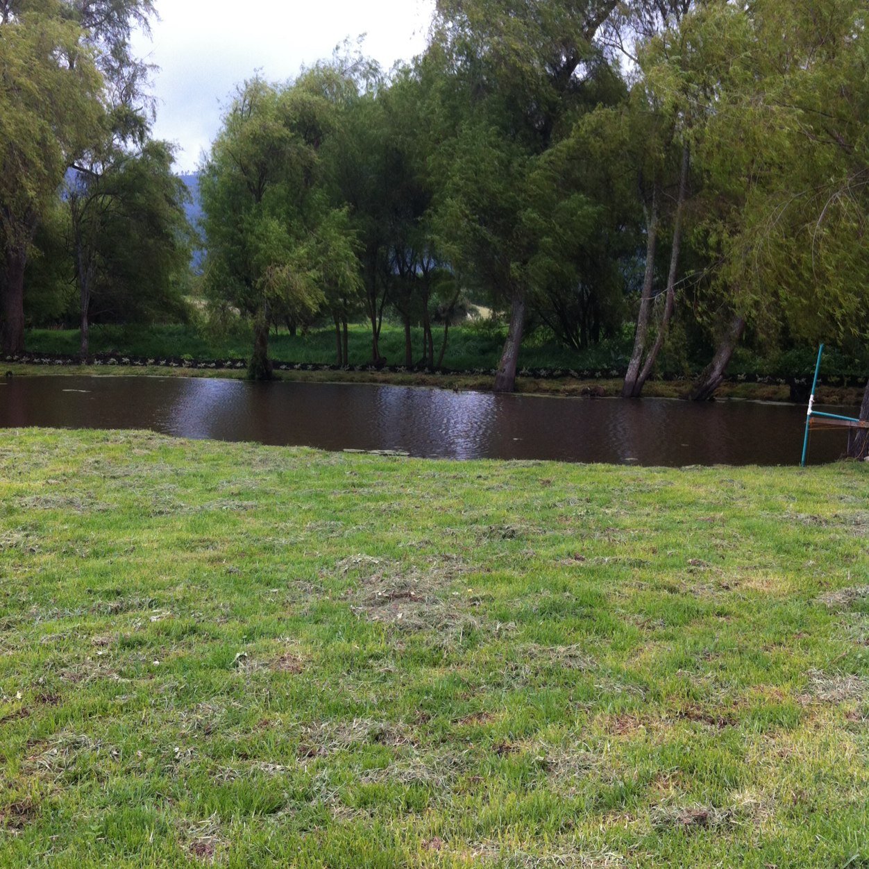 javierrjr's profile picture. Medico Veterinario Esp. Gerencia de Empresas Agropecuarias, Esp. Gerencia de Proyectos, Master en Agronegocios - SENA-AGROSAVIA- ALCALDIA TENJO-MADR