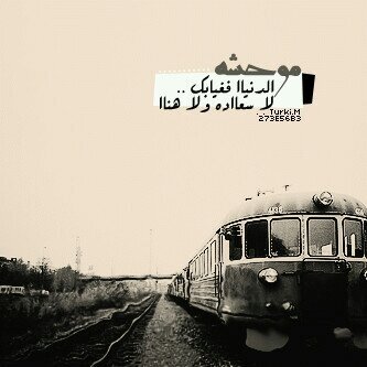 ‏همسة  طرب في زمن كله ازعاج