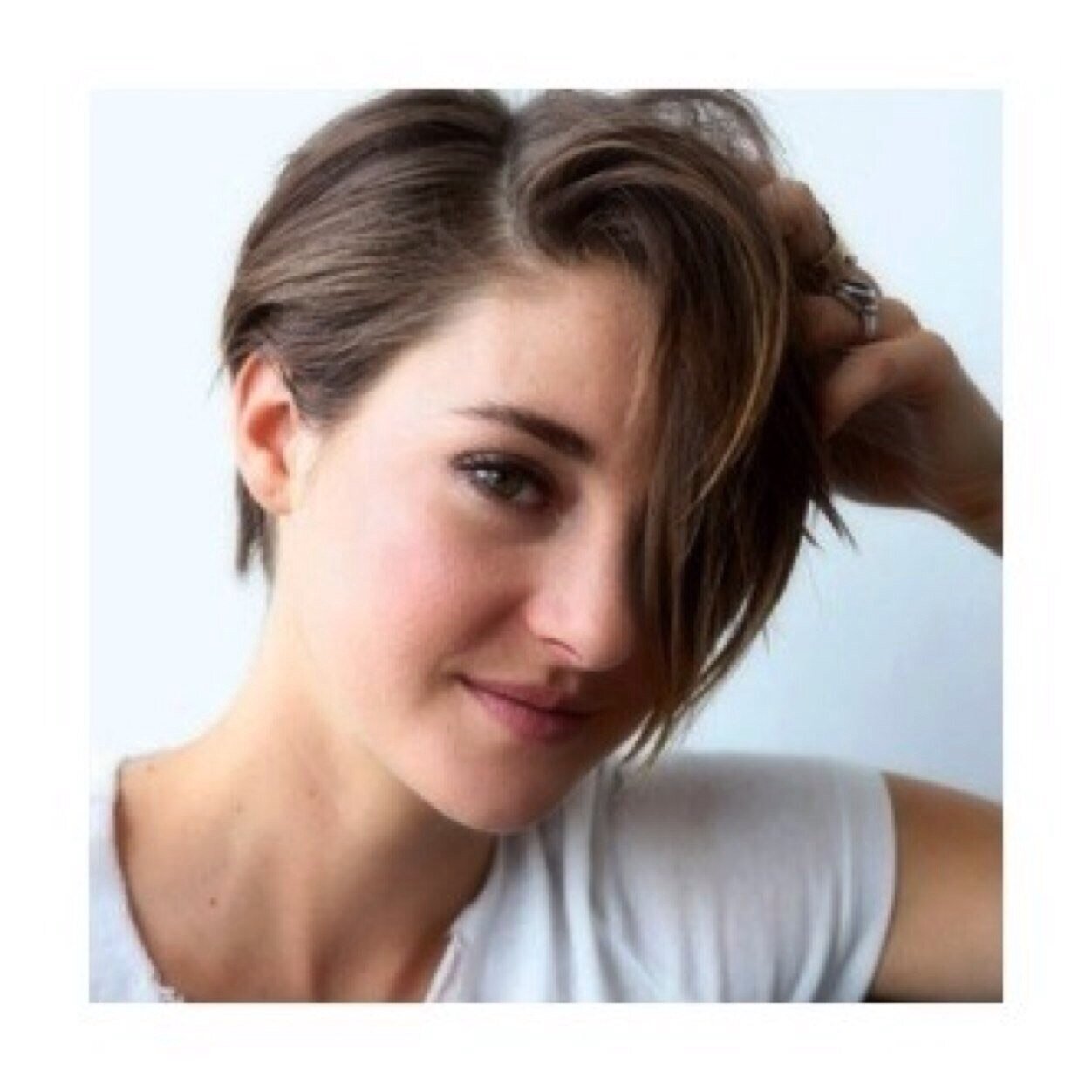 Fireblvd's profile picture. Quattro paure