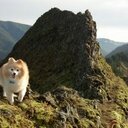 Garrett Edward Wyatt - @Gaquarious - Twitter