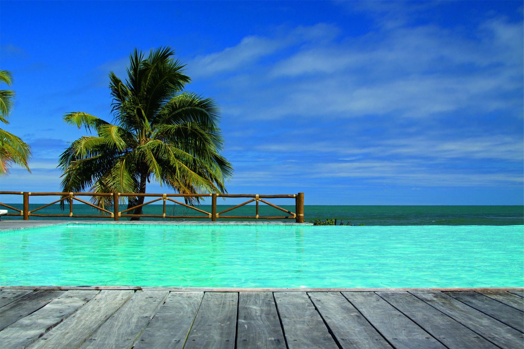 LeoVdeCamargo's profile picture. 