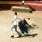 HugoPerez75's profile image