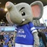 bigbrownduck (@quack100) 's Twitter Profile