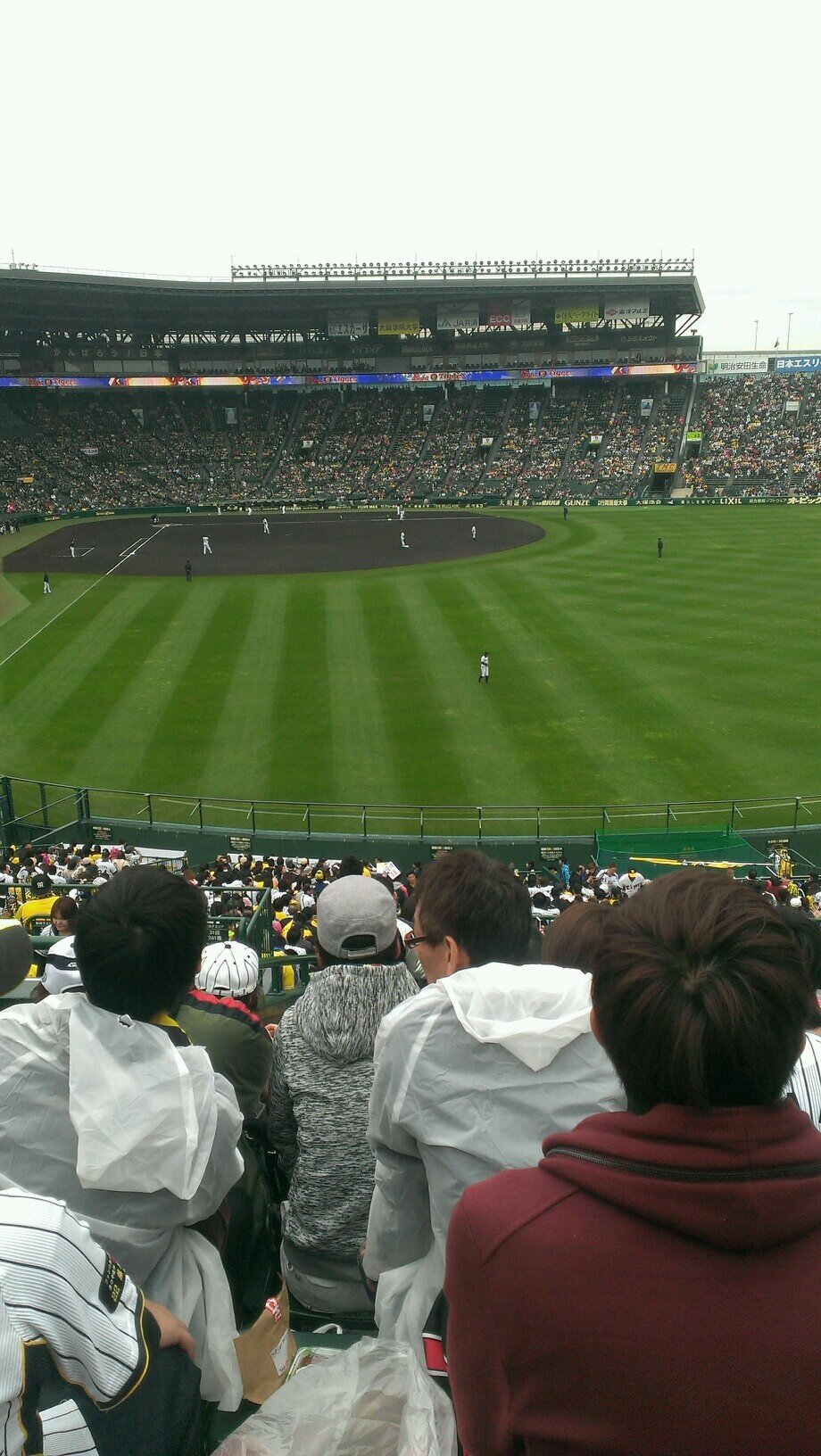 i love hanshin-tigers(*^ー^)ノ♪