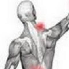 musclecaretmj's profile picture. Relieve your #Pain & Free your Mind. Soft Tissue Functional #Holistic Manipulative #Treatment for #TMJD.  Your #health IS our business.