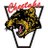 vanierathletics's profile image