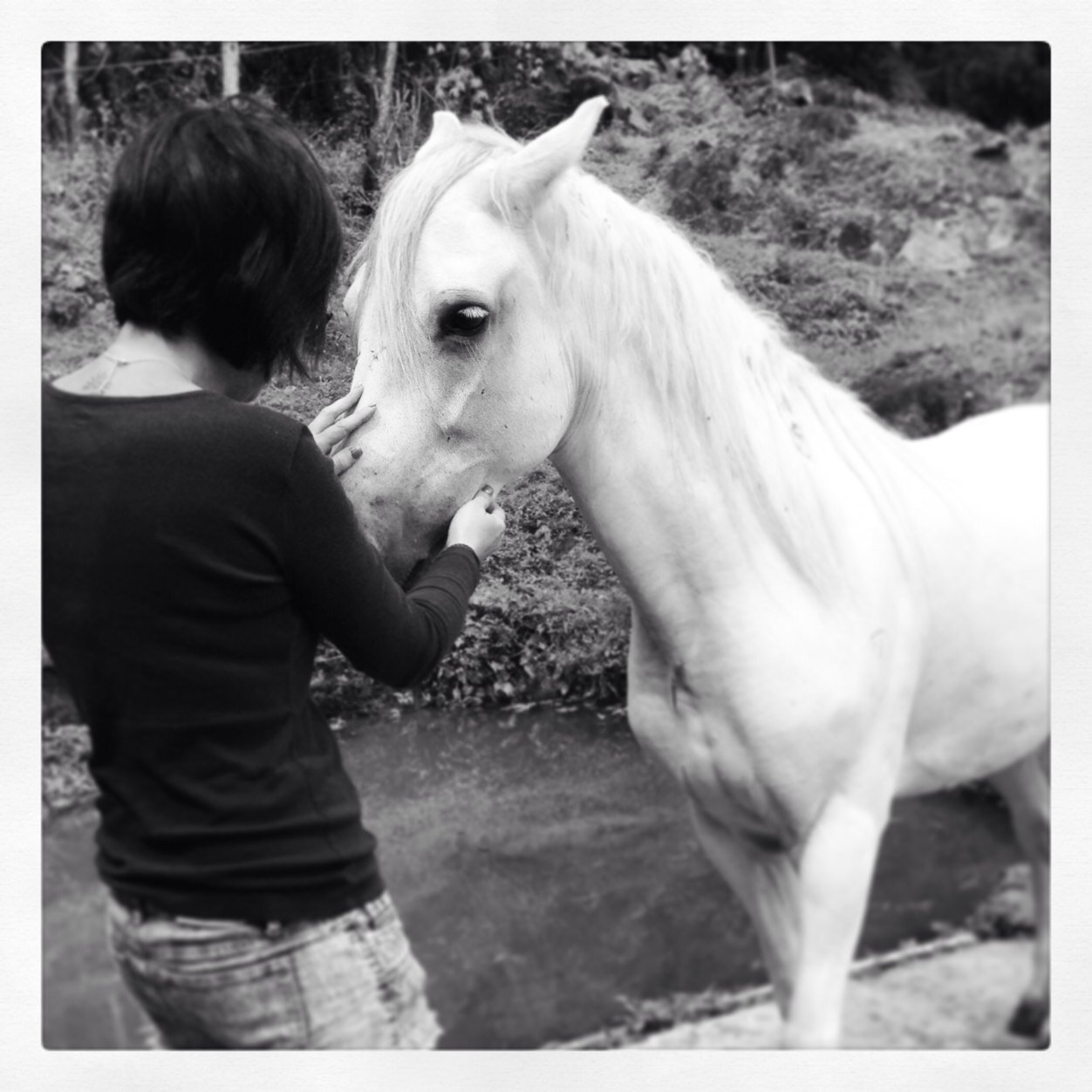 candibypatchola's profile picture. Please take a minute and visit my C+I Online Boutique. You can find the entire collection, my faves, limited edition, and/ or gifts and must gave under $30. OX