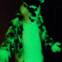 neflo wolf (@neflo18) 's Twitter Profile