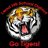 LeadHillSchools's profile image