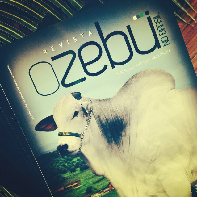 Com 40 anos de circulação, a revista O Zebu continua fazendo o que sempre fez: trabalhar em prol das raças zebuínas, com fôlego renovado e novas ideias.