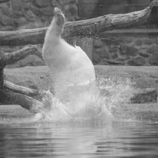 MariekePostma's profile picture. 