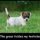 Lewis Calvert - @xcalvie_6x - Twitter