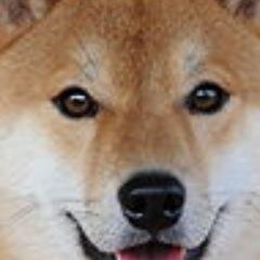 よろしくお願いします！