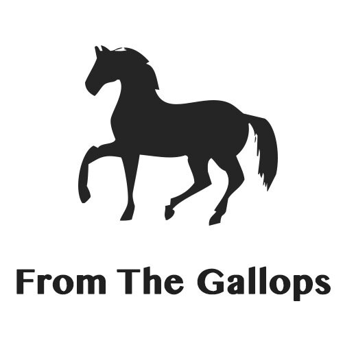 The Daily Gallop Report and The Weekly Horse Racing Notebook With A Difference.