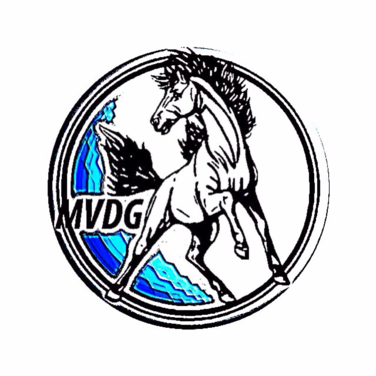 MVHSDiscGolf's profile picture. 