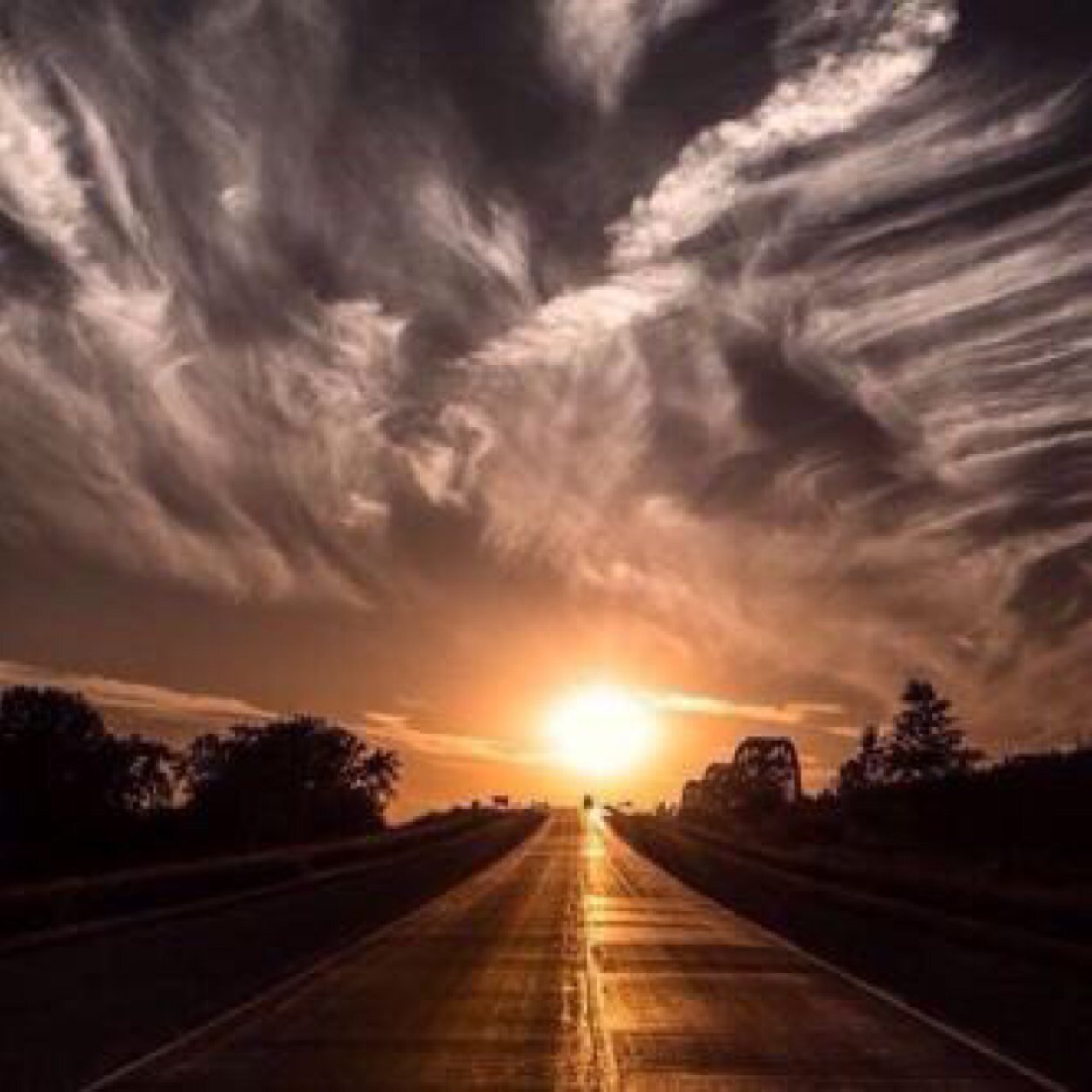 119abdullah's profile picture. 