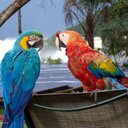 zaida morales - @zaidamorales63 - Twitter