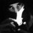 marcospark28's profile image
