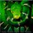 MAMBATORRE's profile image