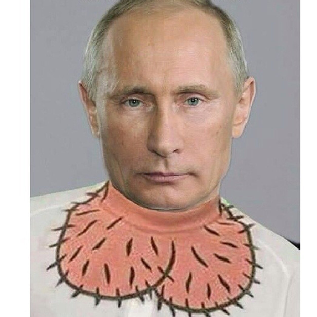 Путин залупа putin-zalupa