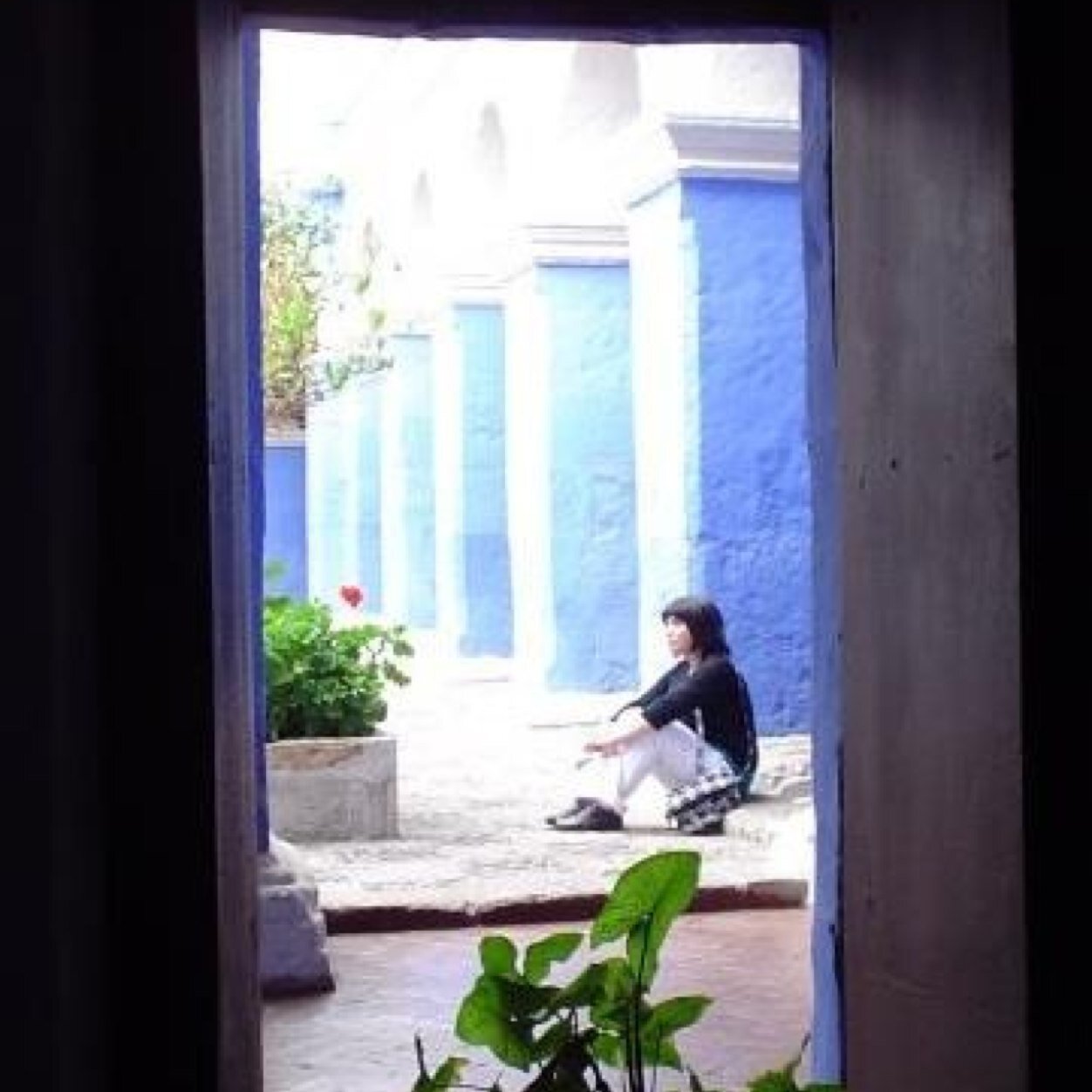 Abogada, ciudadana, curiosa por naturaleza, filántropa y misántropa a la vez, melómana, lectora asidua, cinéfila, art lover, empoderada y loca feliz de la vida.