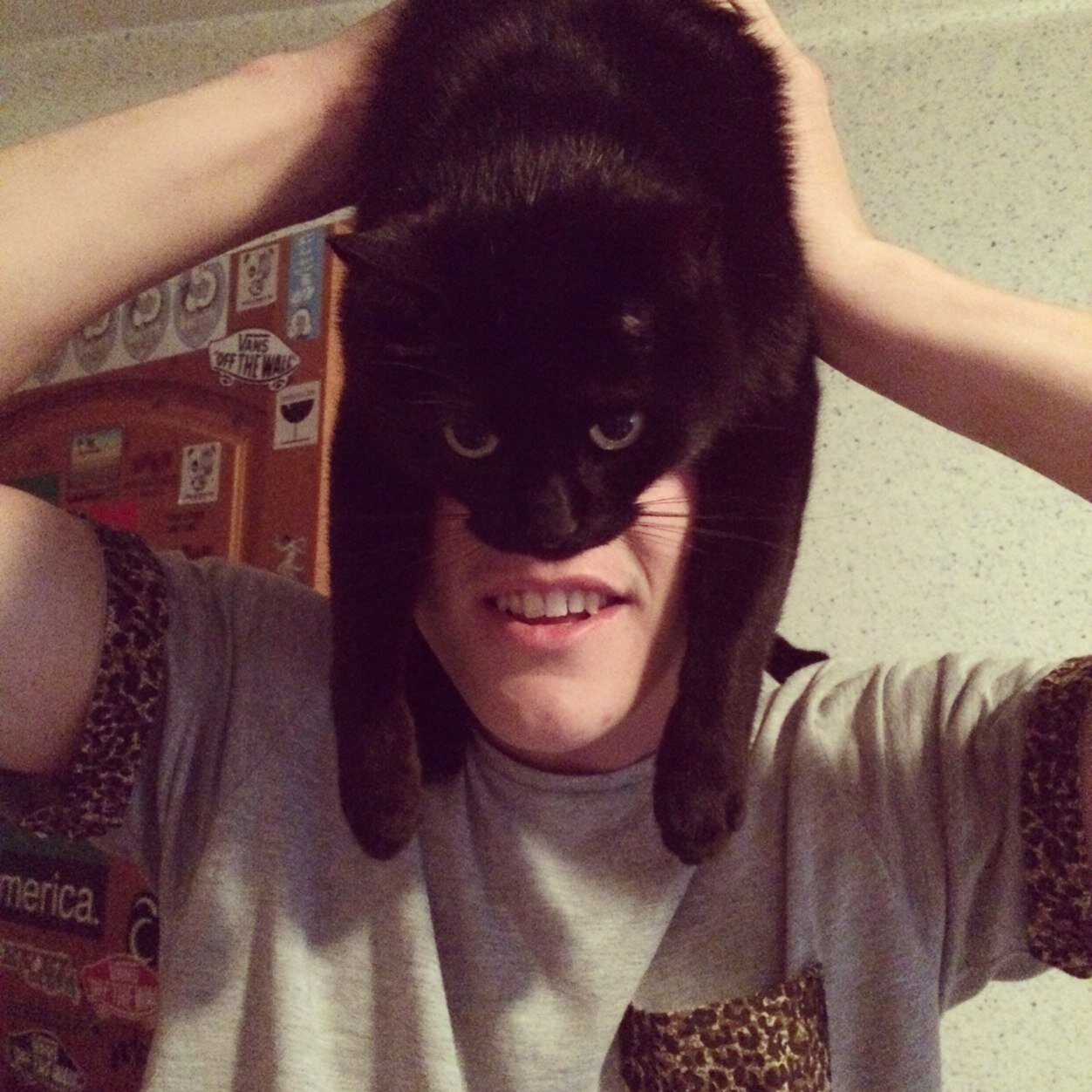 APuits's profile picture. 