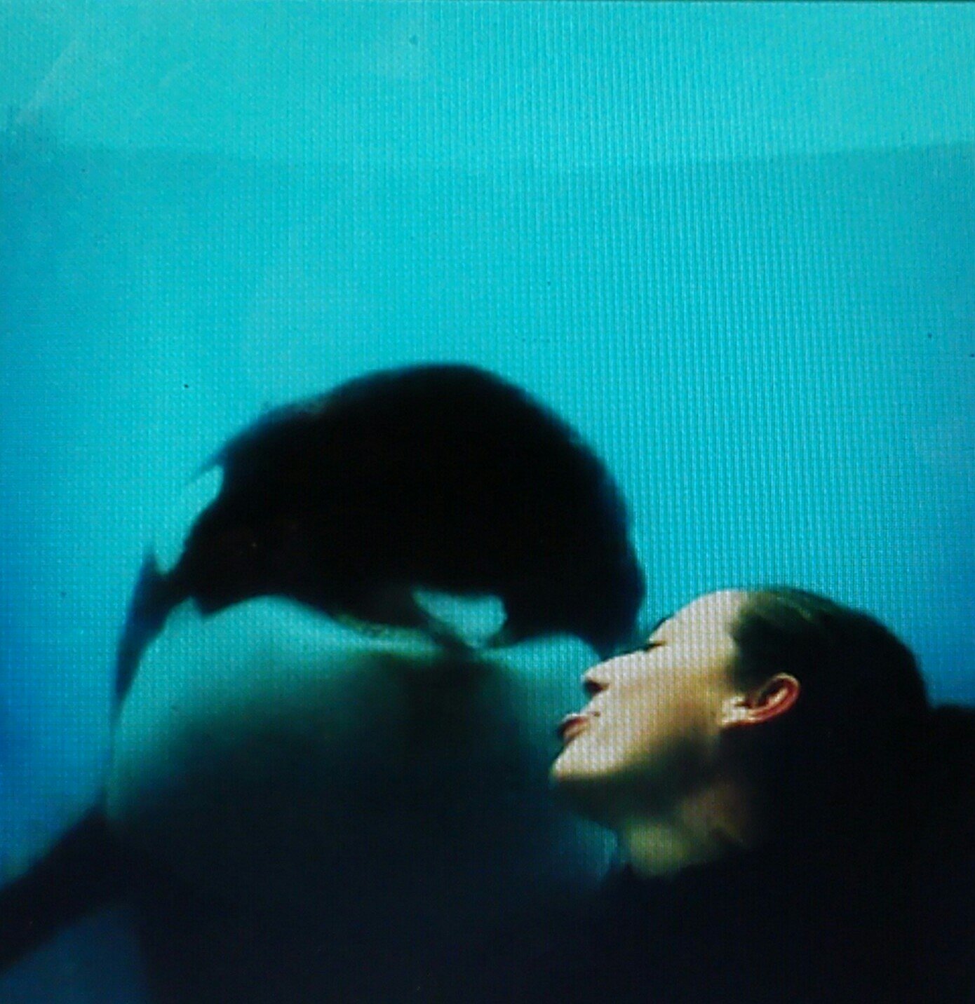 doubleeeks's profile picture. Chocolatóloga feliz, entrenadora de cetáceos y estudiante de Filología Inglesa ..Every single lady got a story to tell....Missing characters to describe it all!