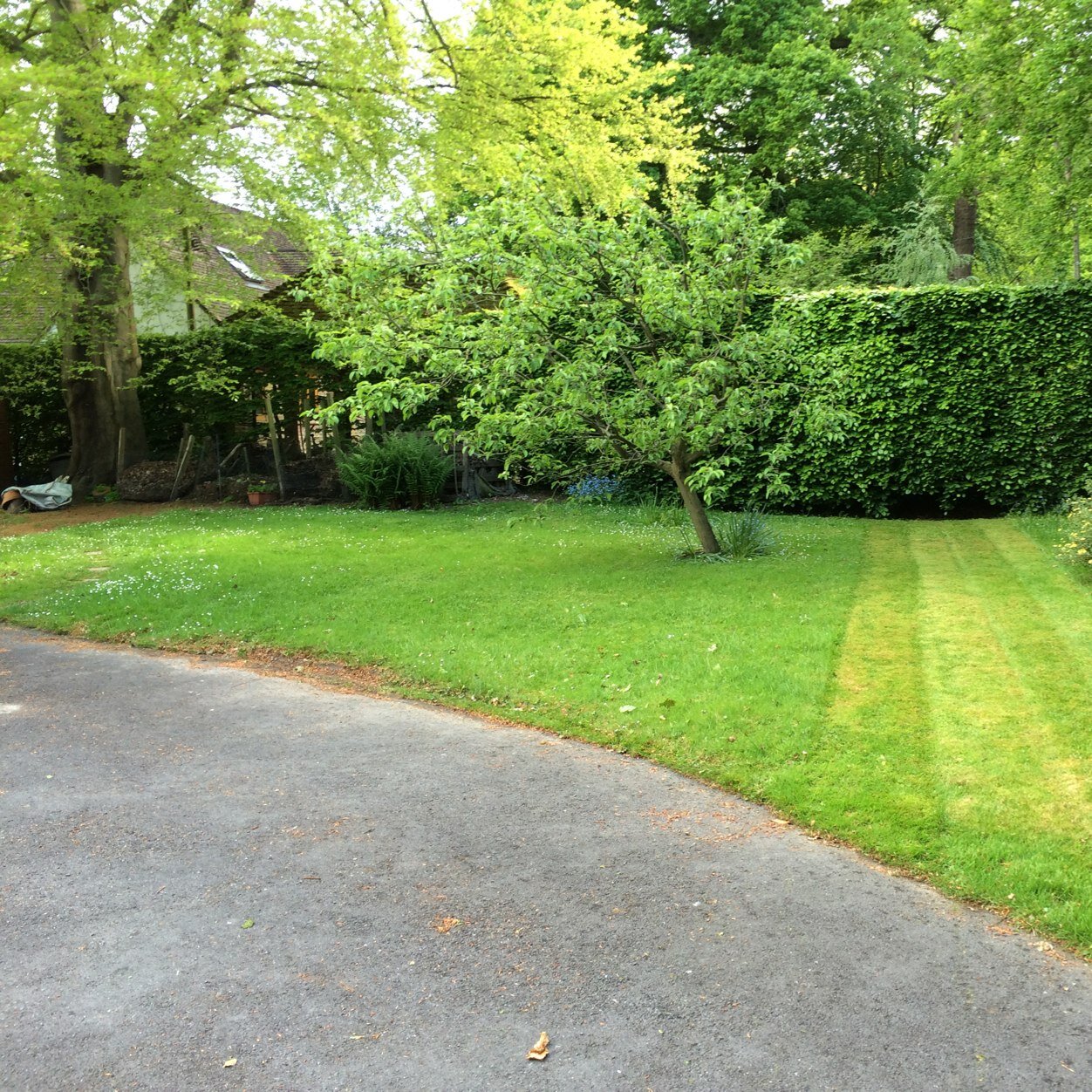 WRGardenService's profile picture. Catering for all your gardening needs! 
07867424059 for a free quotation.