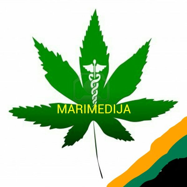 ➡Promoting the legalization of Medical Marijuana in Jamaica