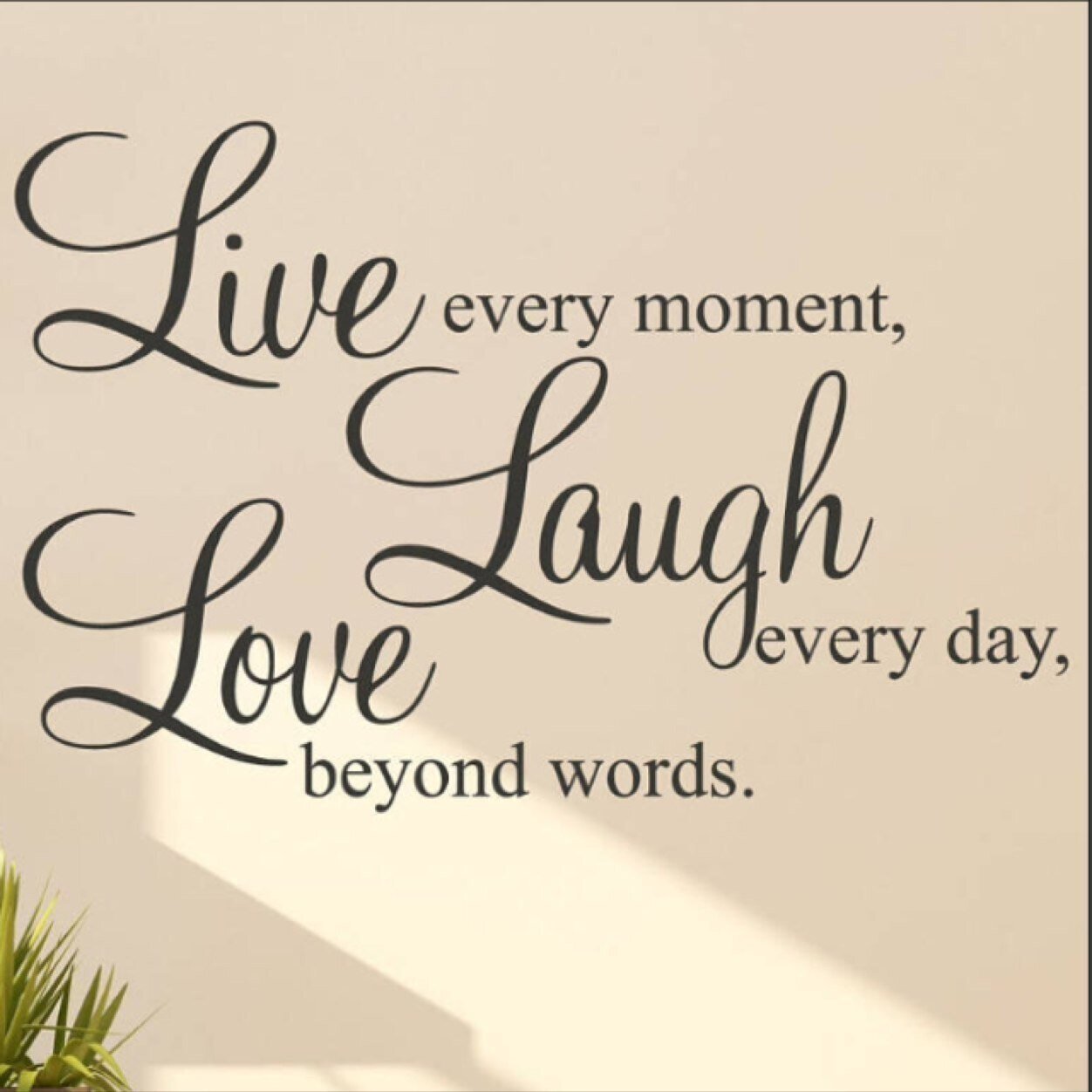 __beinspired_'s profile picture. Live your life to the fullest. Smile more, worry less(: