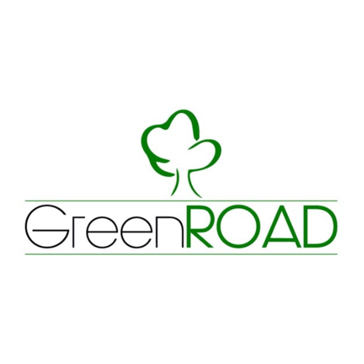 Hacemos que tu transporte sea totalmente ecológico, 100% verde, porque es el buen camino!!