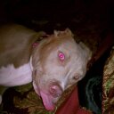 Dwight Dotson - @dldjr26 - Twitter