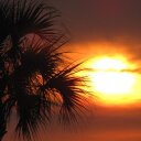 janet rendon - @janet_rendon - Twitter