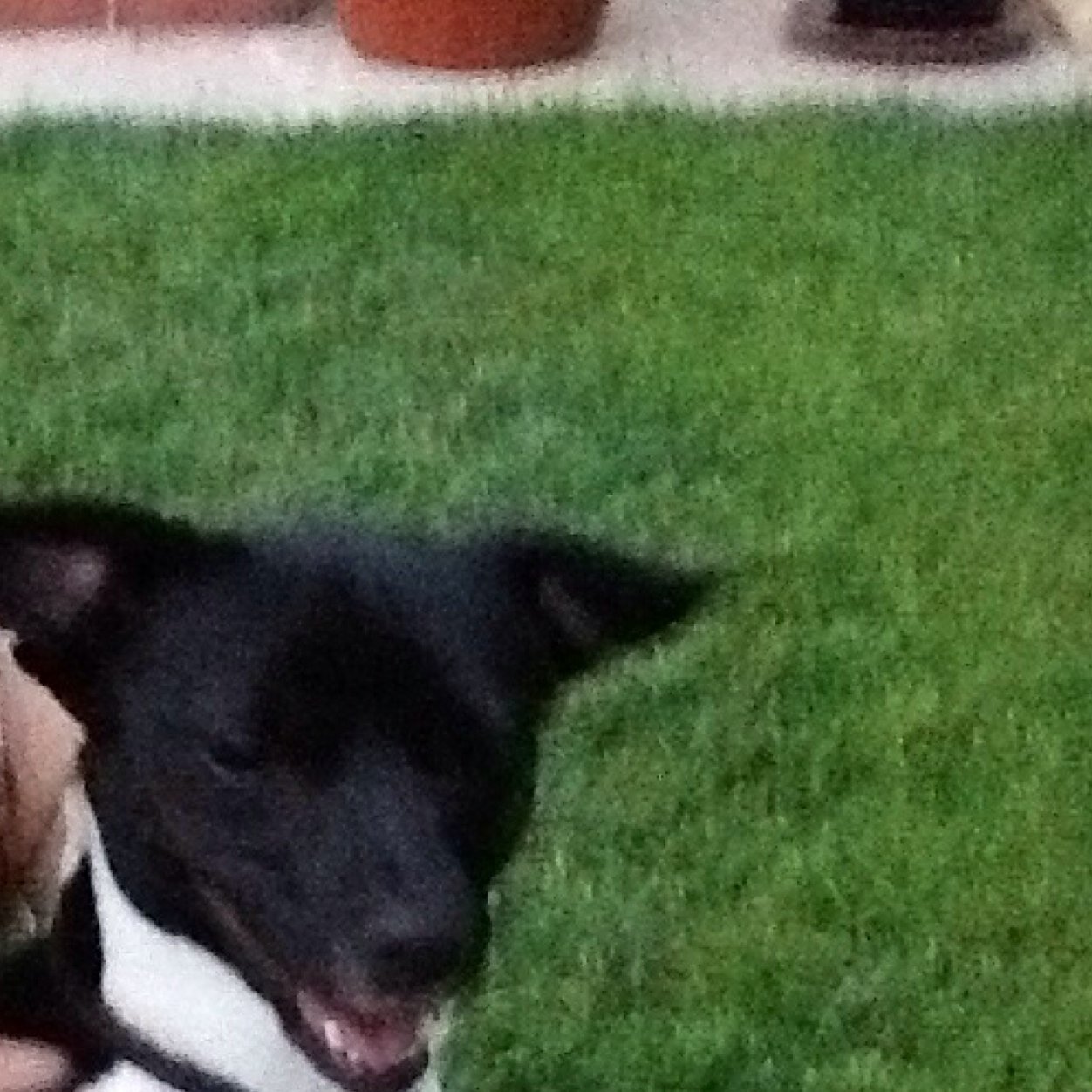 setboy8's profile picture. 