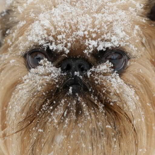 eugenektz's profile picture. 