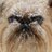 Eugene🐐's Twitter (X) avatar