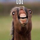 Adam Beasley - @AdamLisalynn44 - Twitter