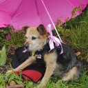 Diane Eller - @eller_md - Twitter