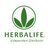 HeacoxTom_HBL05's profile image