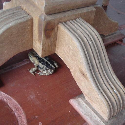 BarbosaIraci's profile picture. Comunicação Social. Contra qualquer tipo de exploração. Seja seu próprio líder.