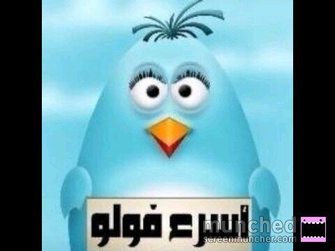 ‏هذا كل شيء تابعني واتابعك