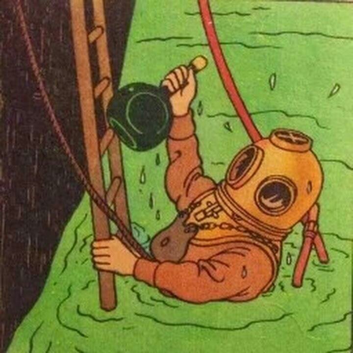 JDasilvasoares's profile picture. 